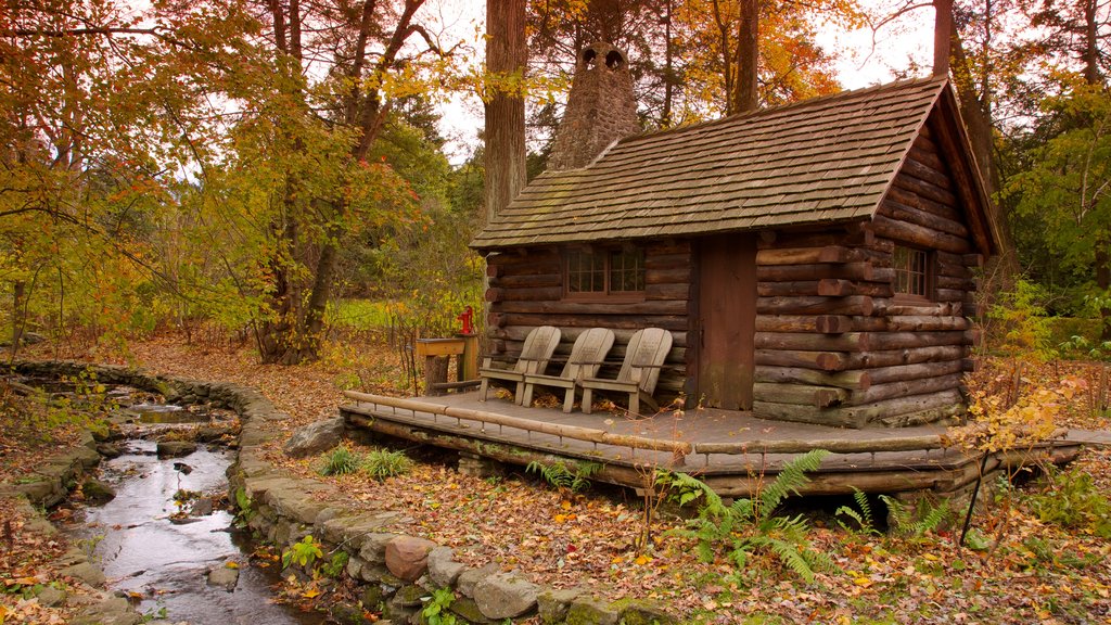 Morris Arboretum which includes forest scenes, autumn leaves and a house