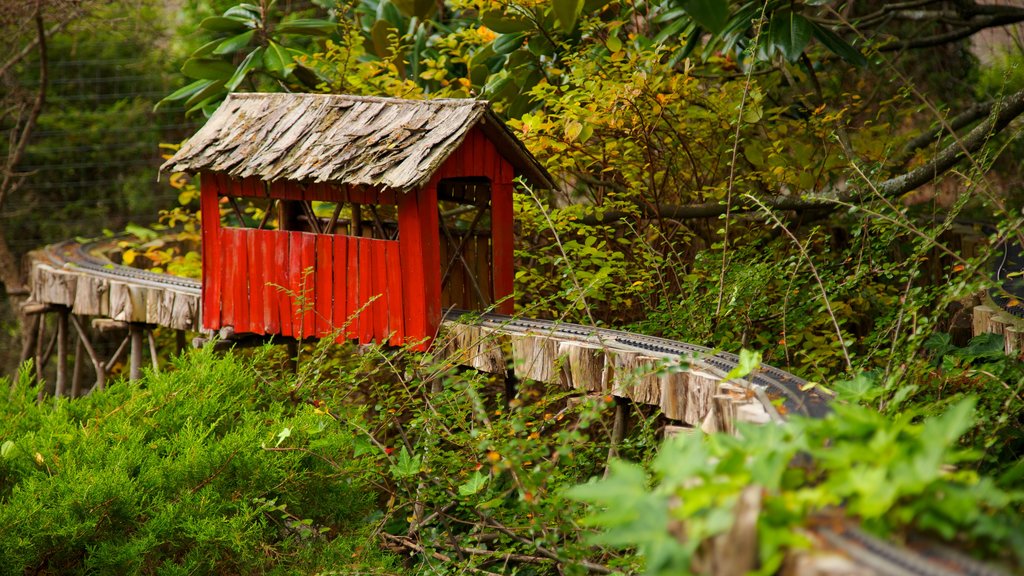 Morris Arboretum featuring railway items