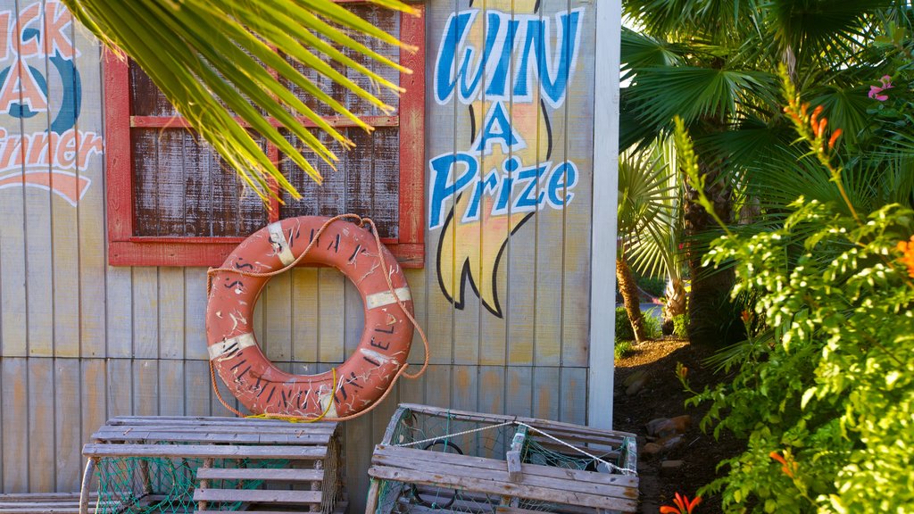 Kemah Boardwalk which includes signage