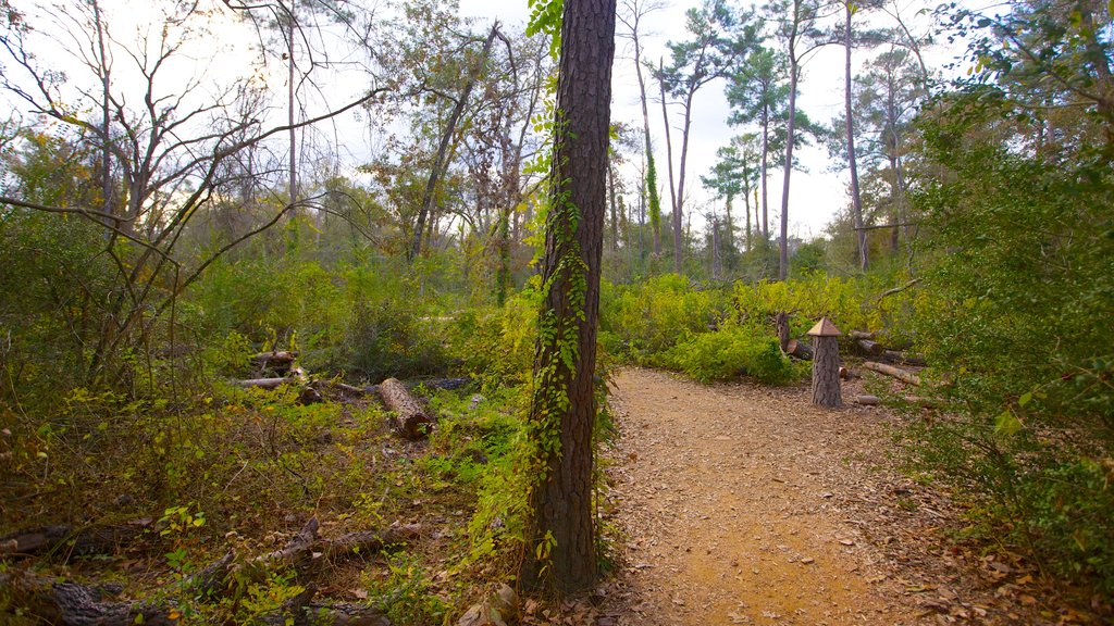 Houston Arboretum and Nature Center showing landscape views, forests and a garden