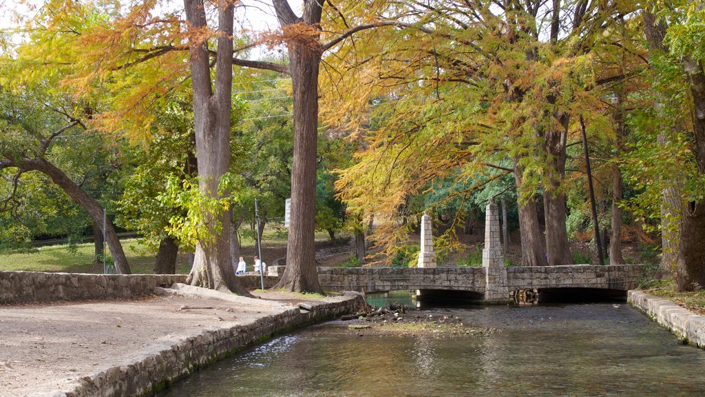 Parque Landa mostrando bosques, colores de otoño y un parque