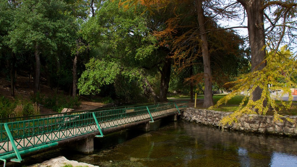 Landa Park showing a garden, a bridge and views