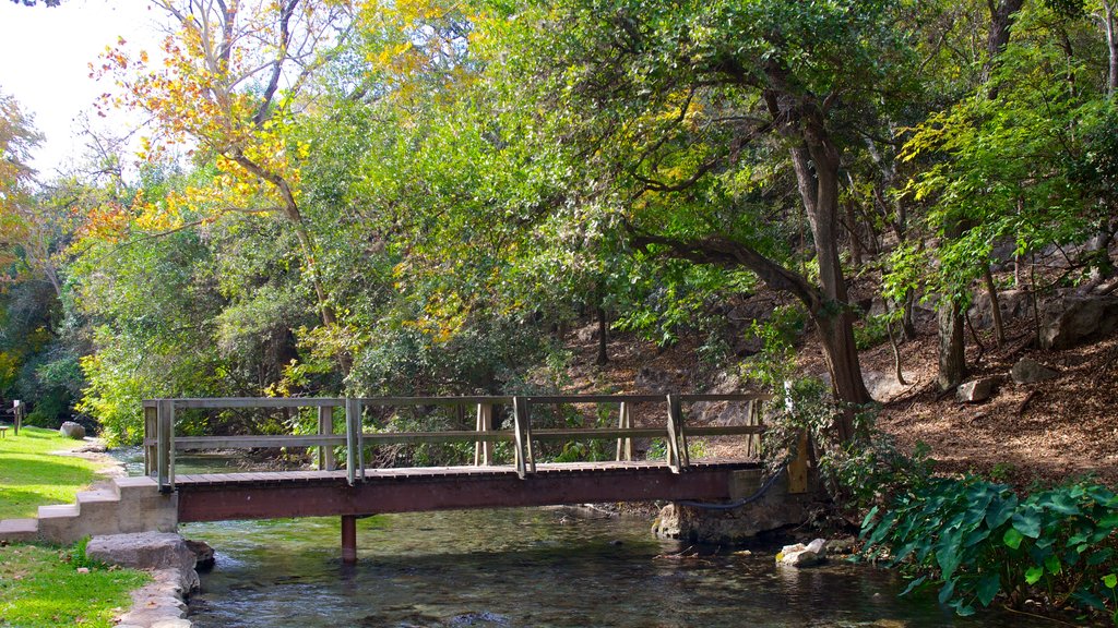 Landa Park which includes a park, forest scenes and landscape views