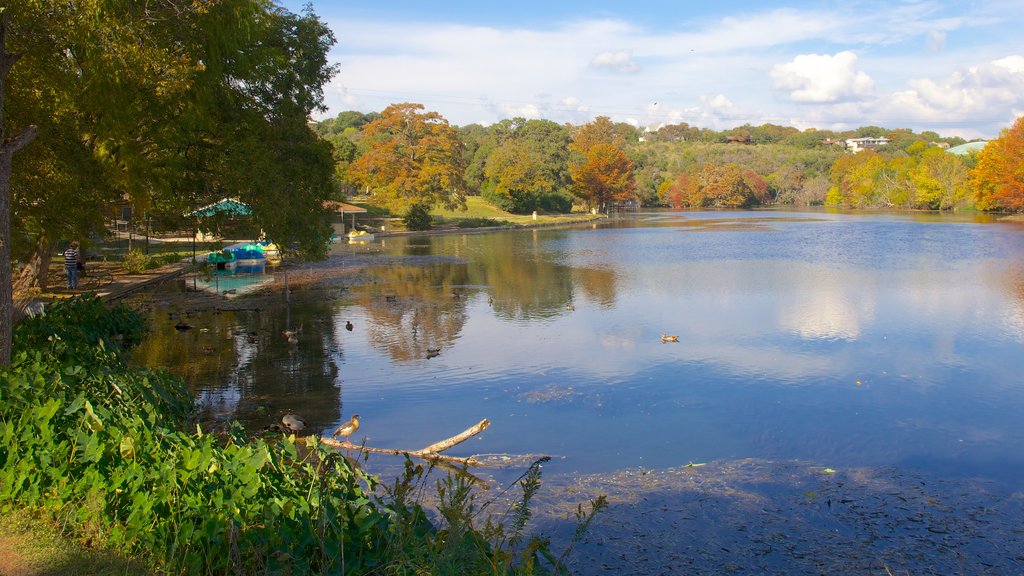 Parque Landa ofreciendo vista panorámica, bosques y un lago o espejo de agua