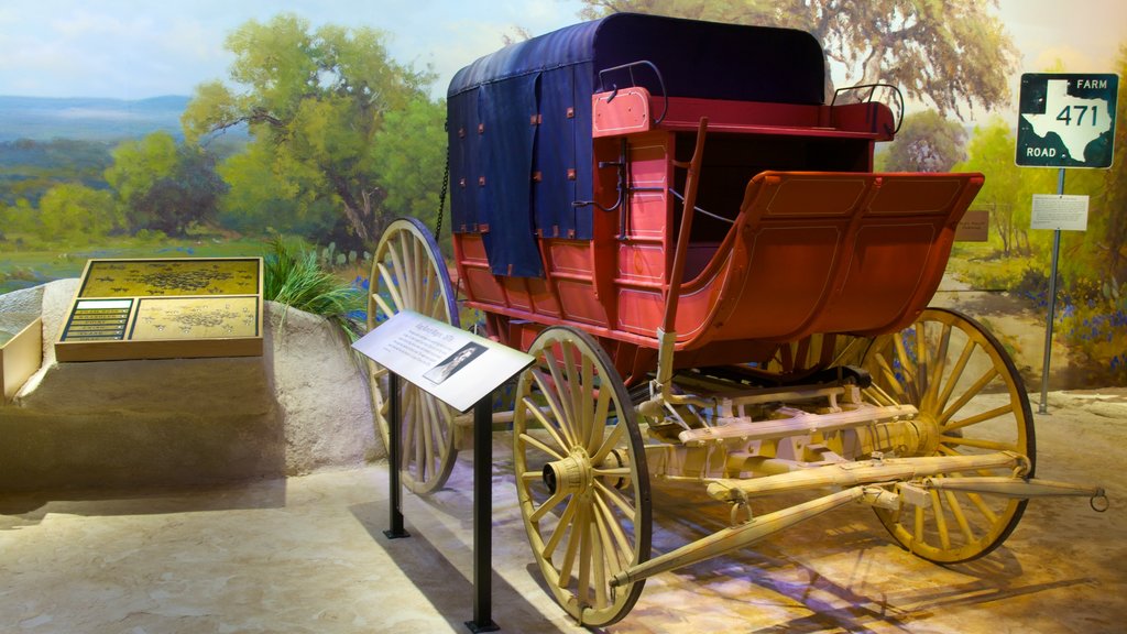 Witte Museum featuring interior views