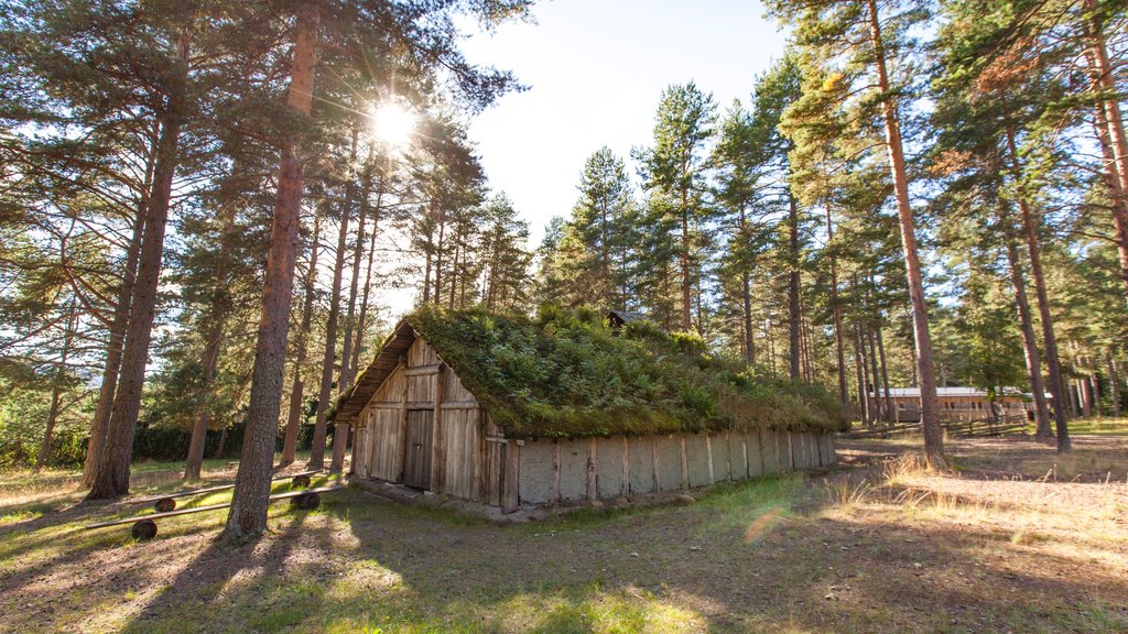 Ornskoldsvik og byder på fredfyldte omgivelser