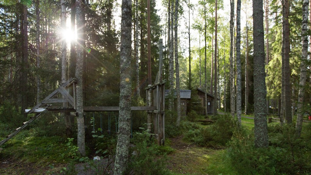 Skelleftea showing forest scenes