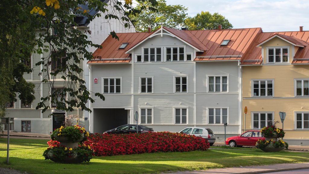 Hudiksvall toont wilde bloemen en een tuin