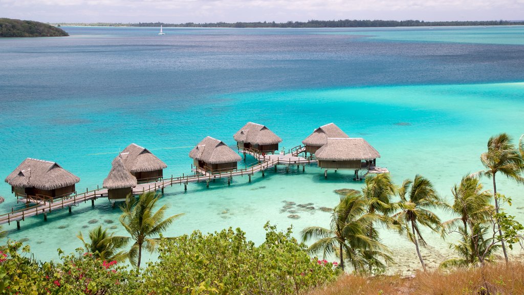 Sofitel Motu showing tropical scenes and general coastal views