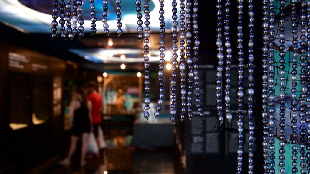 Black Pearl Museum showing interior views