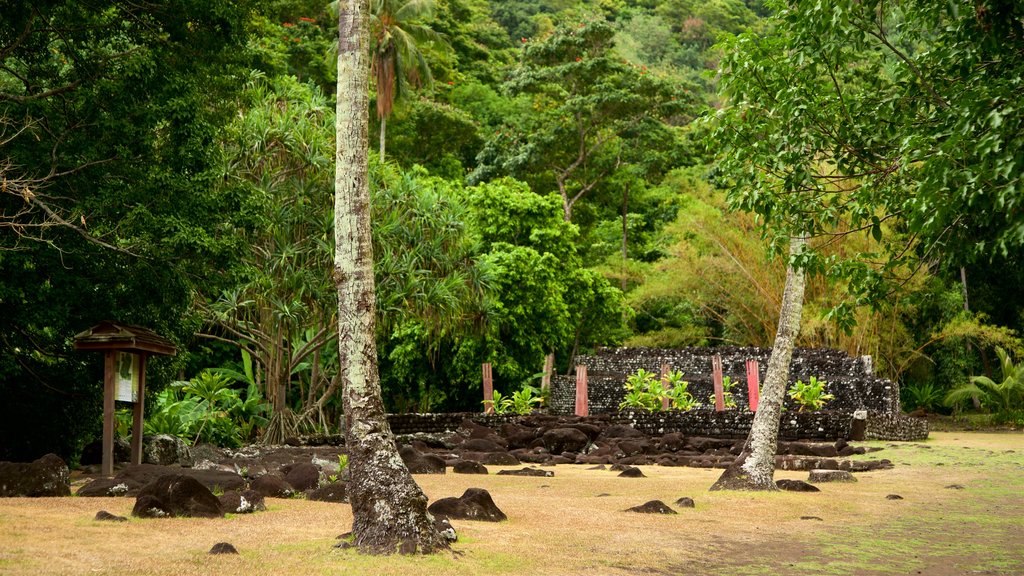 Marae Arahurahu Temple which includes forests