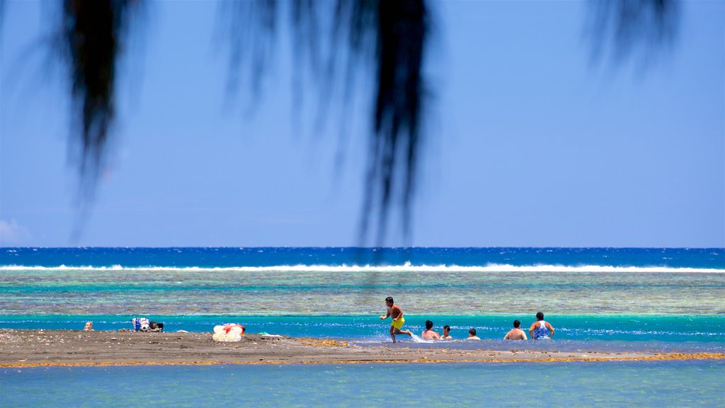 Playa de arena negra que incluye natación y vistas generales de la costa y también un pequeño grupo de personas