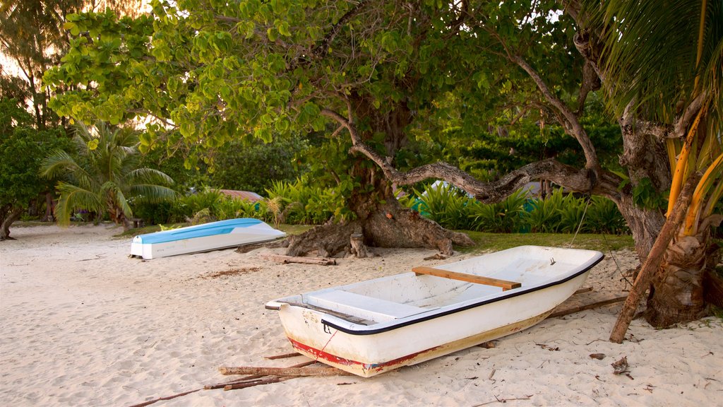 Matira Beach showing tropical scenes, general coastal views and a beach