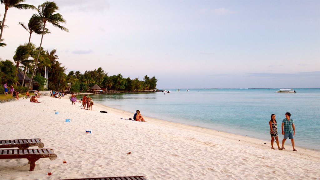 Playa Matira que incluye escenas tropicales, vista general a la costa y una playa de arena