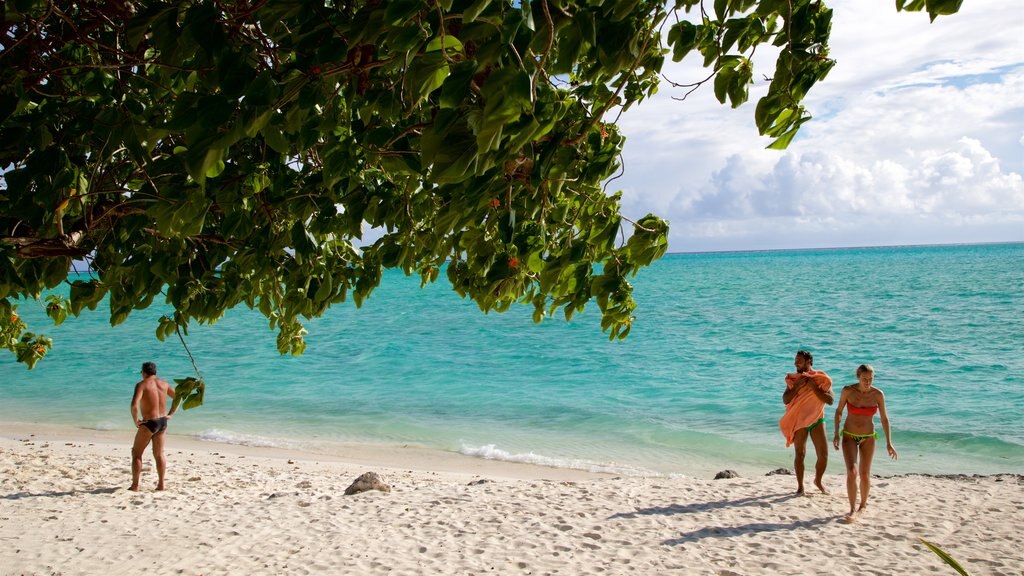 Matira Beach which includes tropical scenes, general coastal views and a beach