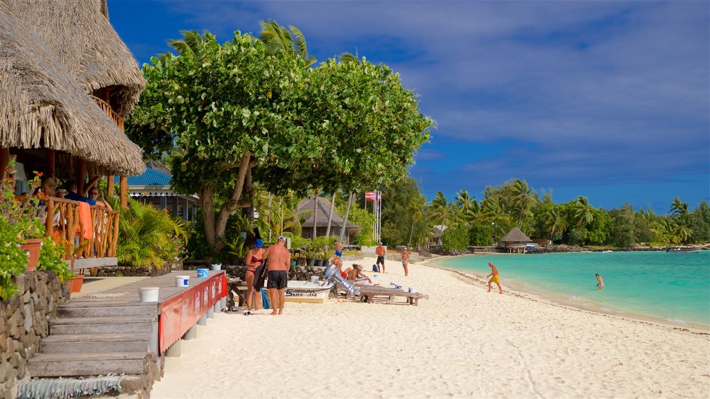 Matira Beach which includes a beach, general coastal views and tropical scenes