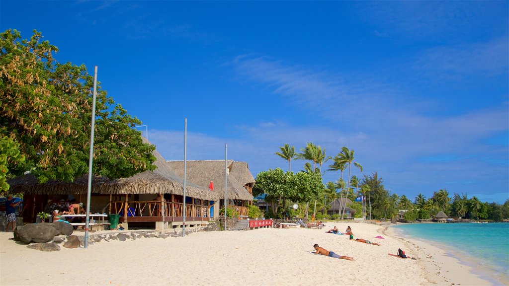 Matira Beach showing a sandy beach, tropical scenes and general coastal views