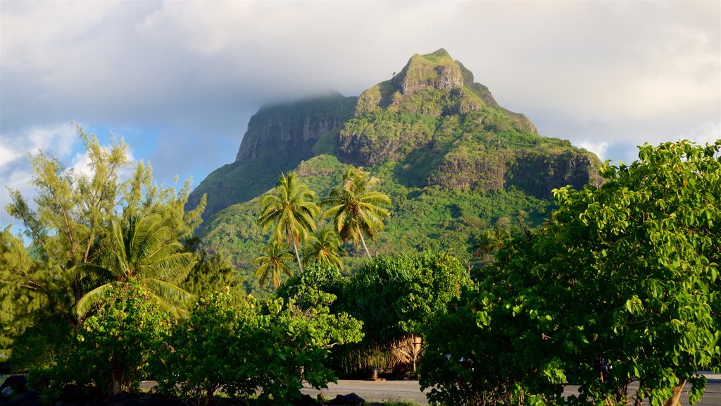 Mt. Otemanu which includes mountains and tropical scenes