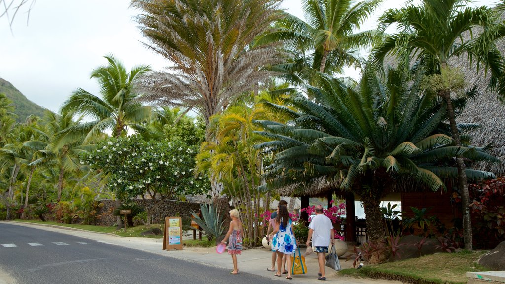 Pointe Matira montrant paysages tropicaux aussi bien que une famille