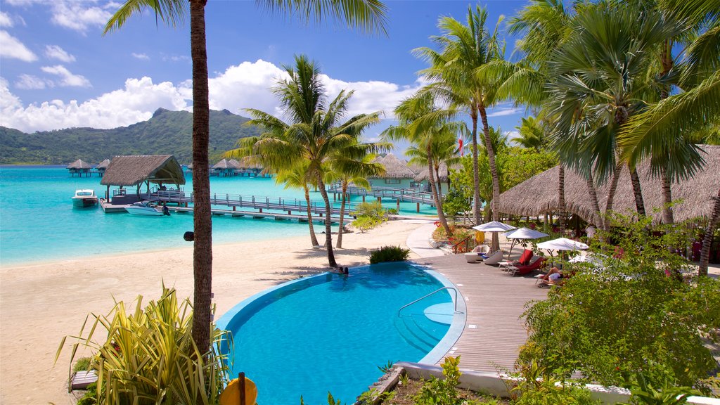 Le Meridien Beach which includes general coastal views, a pool and tropical scenes