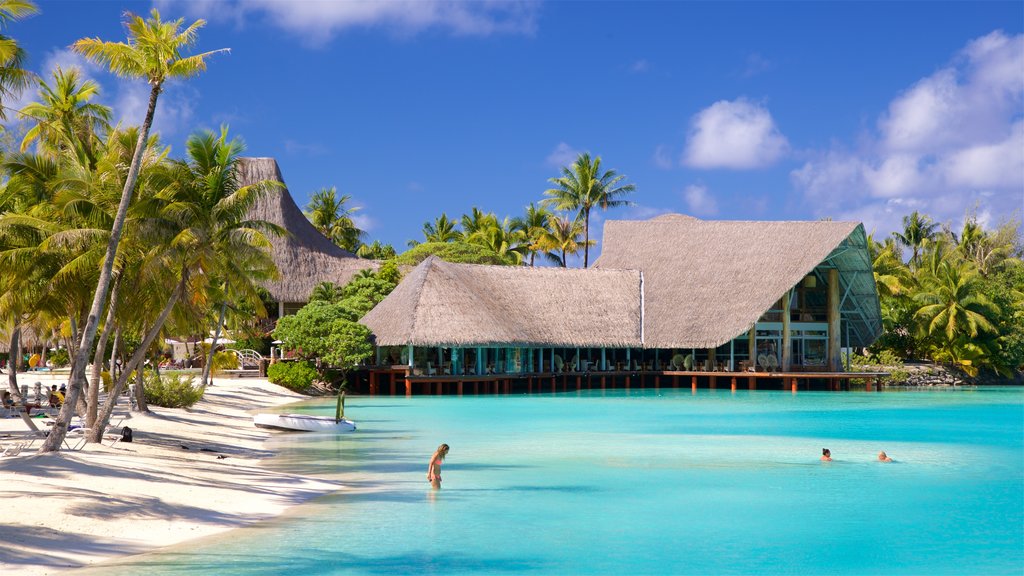 Le Meridien Beach featuring tropical scenes, swimming and a sandy beach