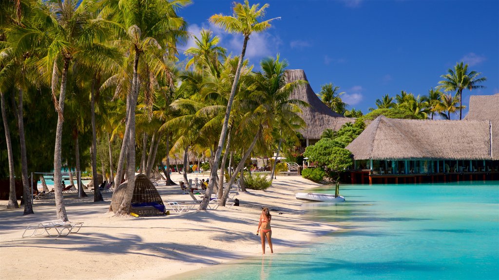 Le Méridien mostrando cenas tropicais, uma praia de areia e paisagens litorâneas