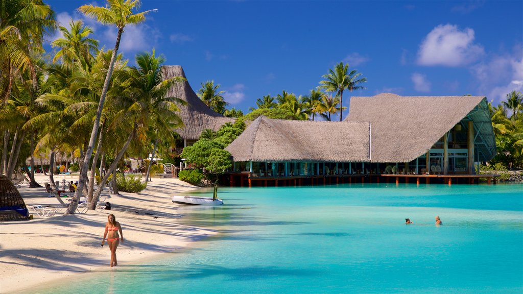 Le Meridien Beach showing a beach, tropical scenes and general coastal views