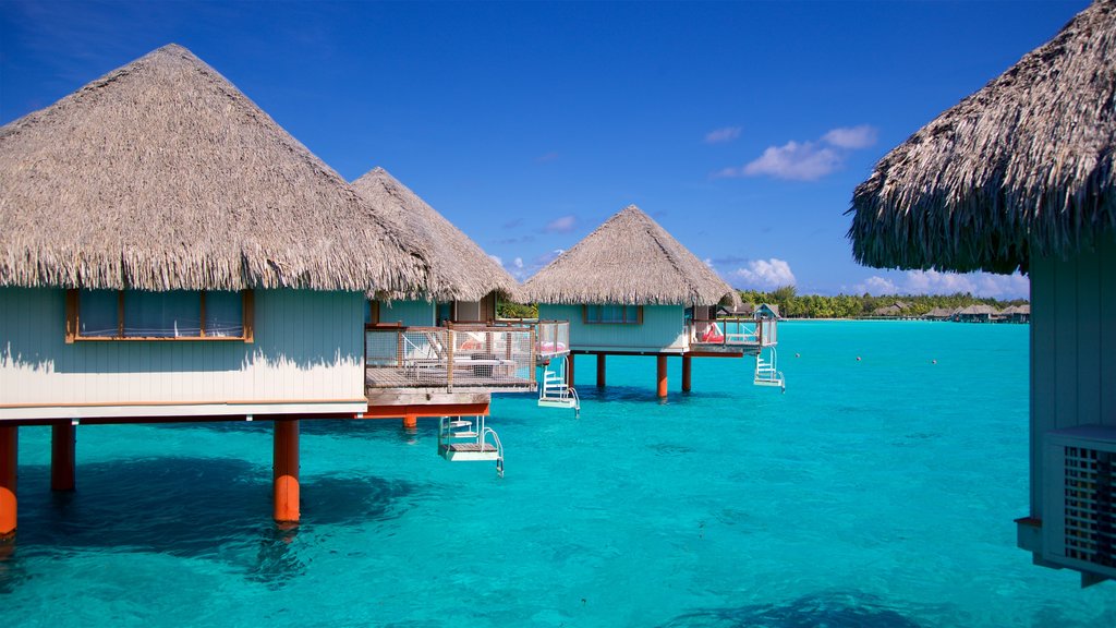 Le Meridien Beach showing general coastal views and tropical scenes