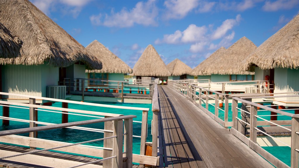 Le Meridien Beach showing tropical scenes