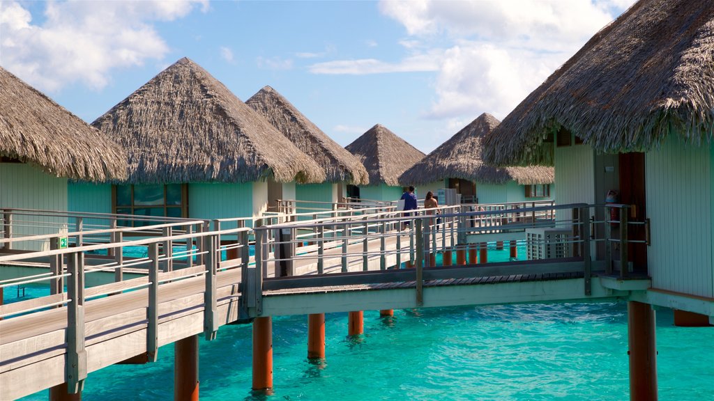 Le Meridien Beach showing tropical scenes