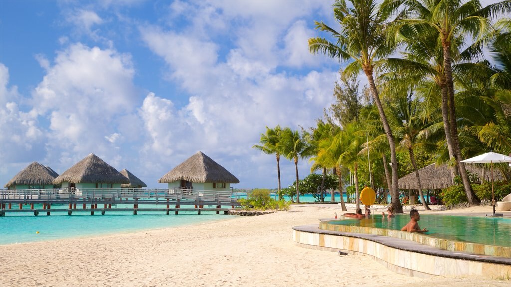 Playa de Le Meridien que incluye una alberca, escenas tropicales y una playa