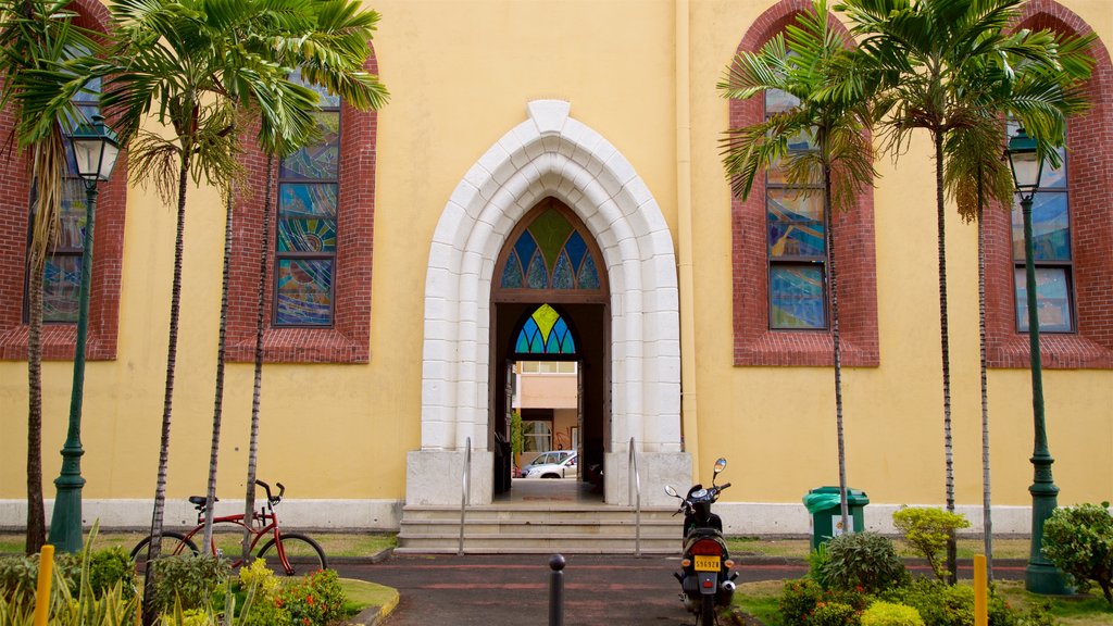 Catedral da Imaculada Conceição mostrando uma igreja ou catedral