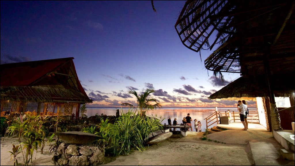 Tiki Village Cultural Centre showing tropical scenes and night scenes