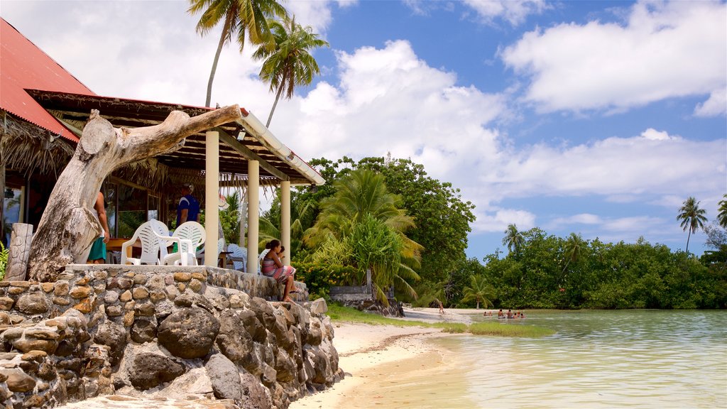 Tiki Village Cultural Centre which includes a sandy beach, general coastal views and tropical scenes