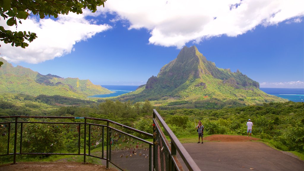 Belvedere Lookout featuring tranquil scenes, mountains and general coastal views