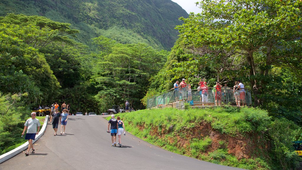 Belvedere Lookout which includes views and tranquil scenes as well as a small group of people