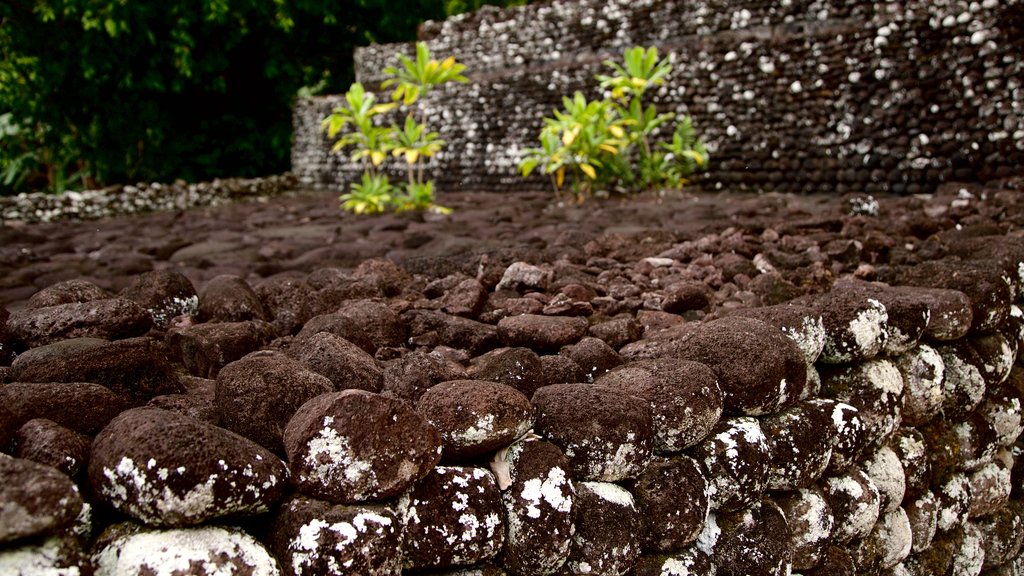 Marae Arahurahu Tempek