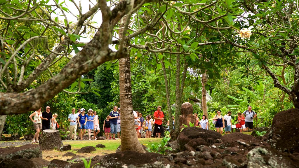 Templo Marae Arahurahu que inclui cultura nativa e um jardim assim como um pequeno grupo de pessoas