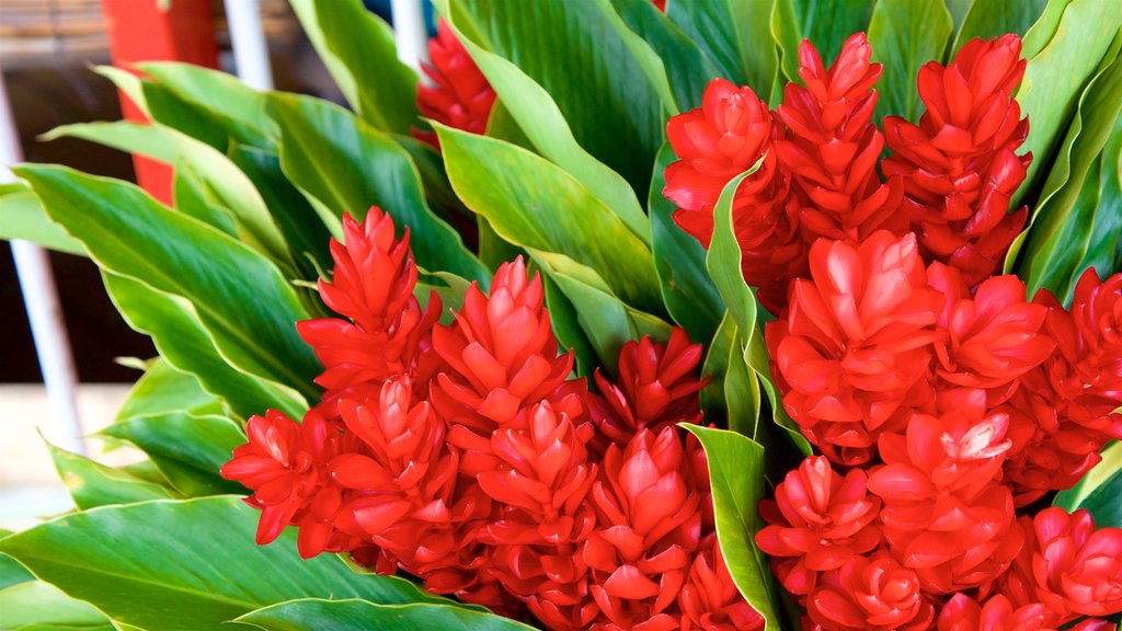 Papeete Market which includes wild flowers