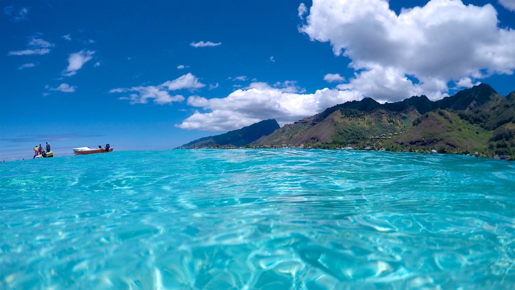 Tiahura Beach which includes tropical scenes and general coastal views