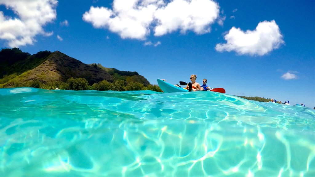 Tiahura Beach showing kayaking or canoeing, general coastal views and tropical scenes