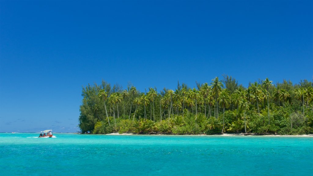 Plage de Tiahura qui includes paysages côtiers