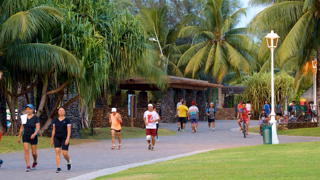 Papeete que inclui um parque assim como um pequeno grupo de pessoas