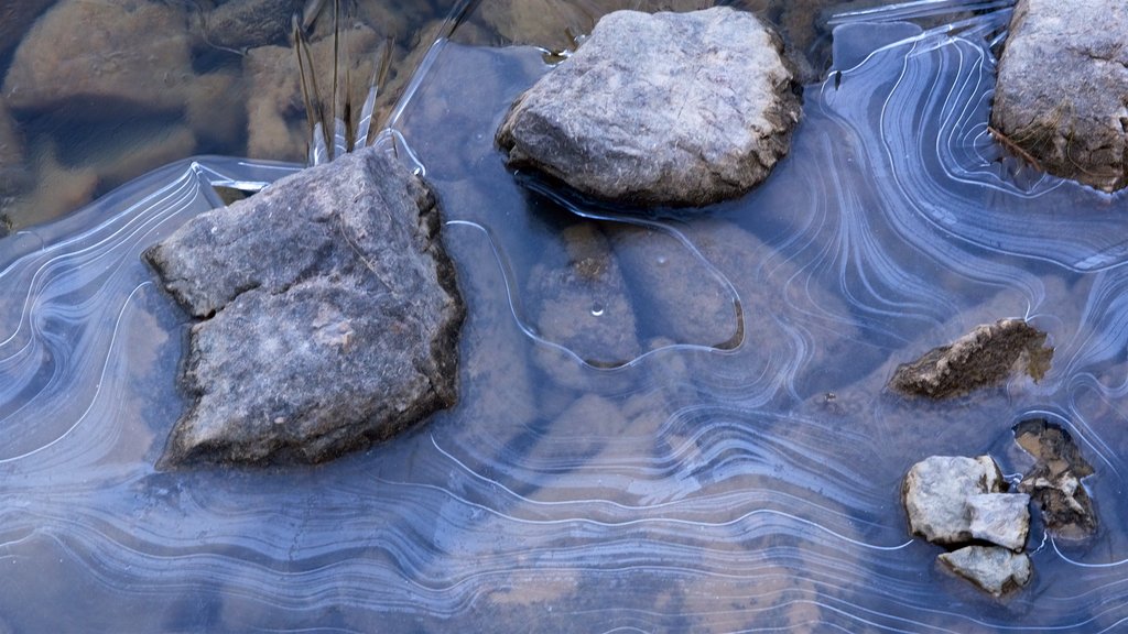 Lac Medecine mettant en vedette un lac ou un point d’eau