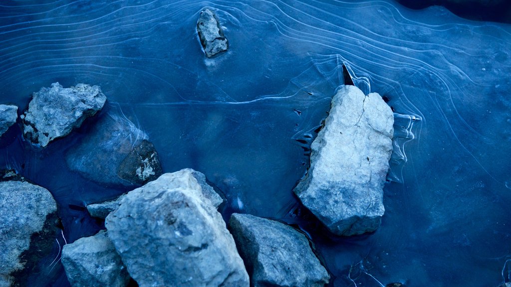 Medicine Lake showing a lake or waterhole