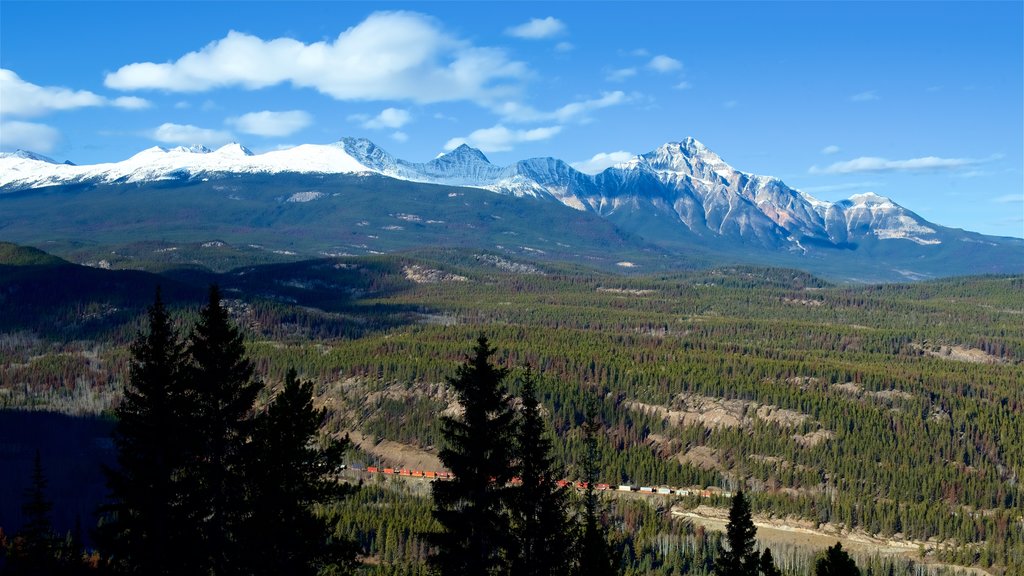 Jasper Tramway showing mountains and tranquil scenes