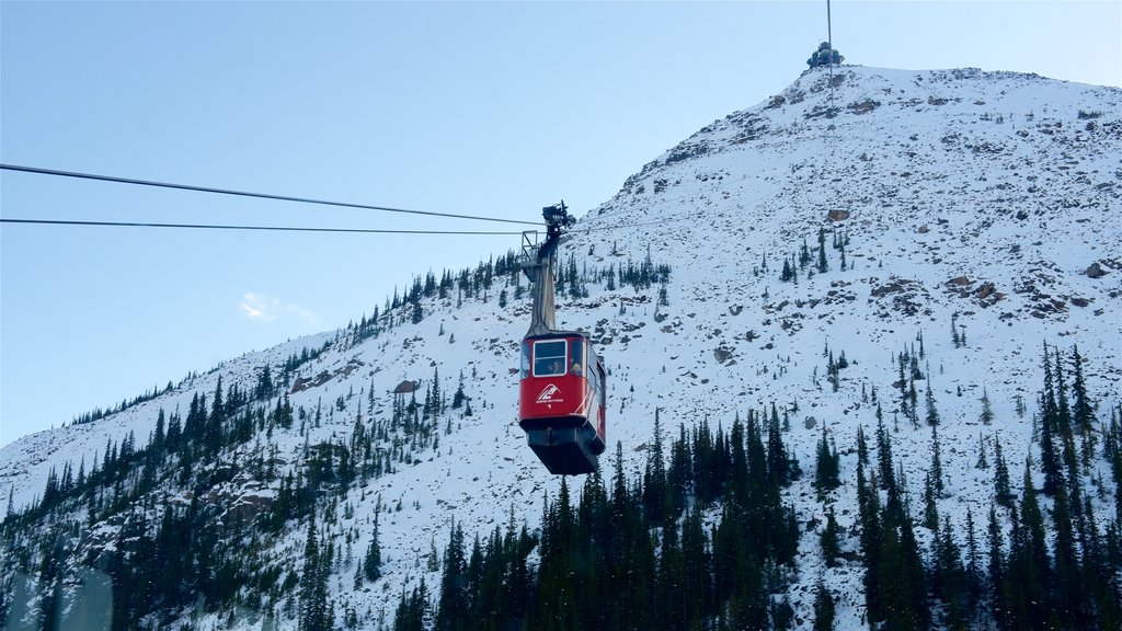 Jasper Tramway showing snow, a gondola and mountains