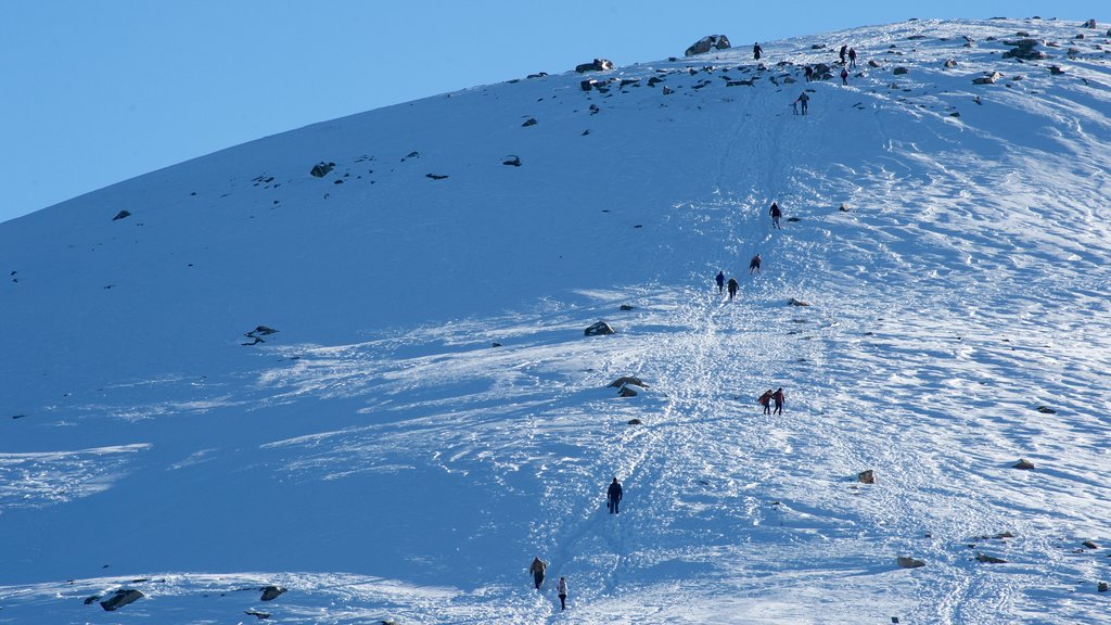 Jasper Tramway which includes mountains, snow and hiking or walking