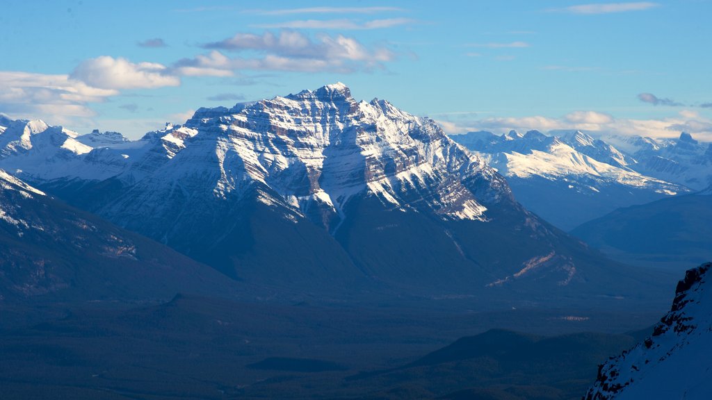 Jasper Tramway which includes snow, mountains and landscape views