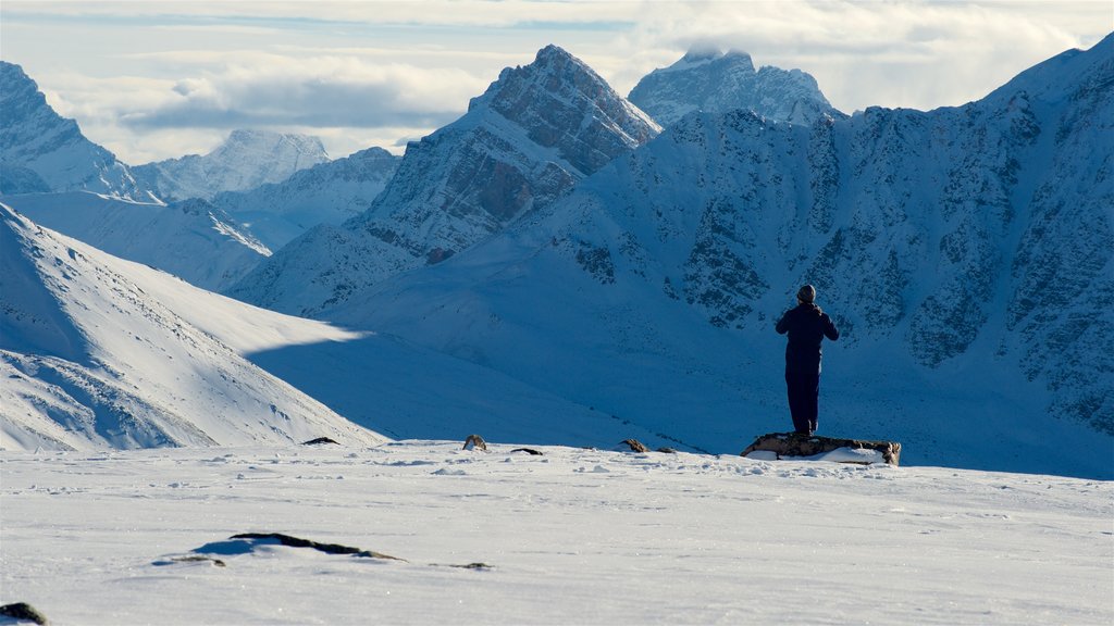 Jasper Tramway showing mountains and snow